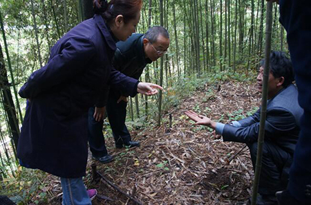 民进玉溪市委深入调研我市林下经济发展情况2